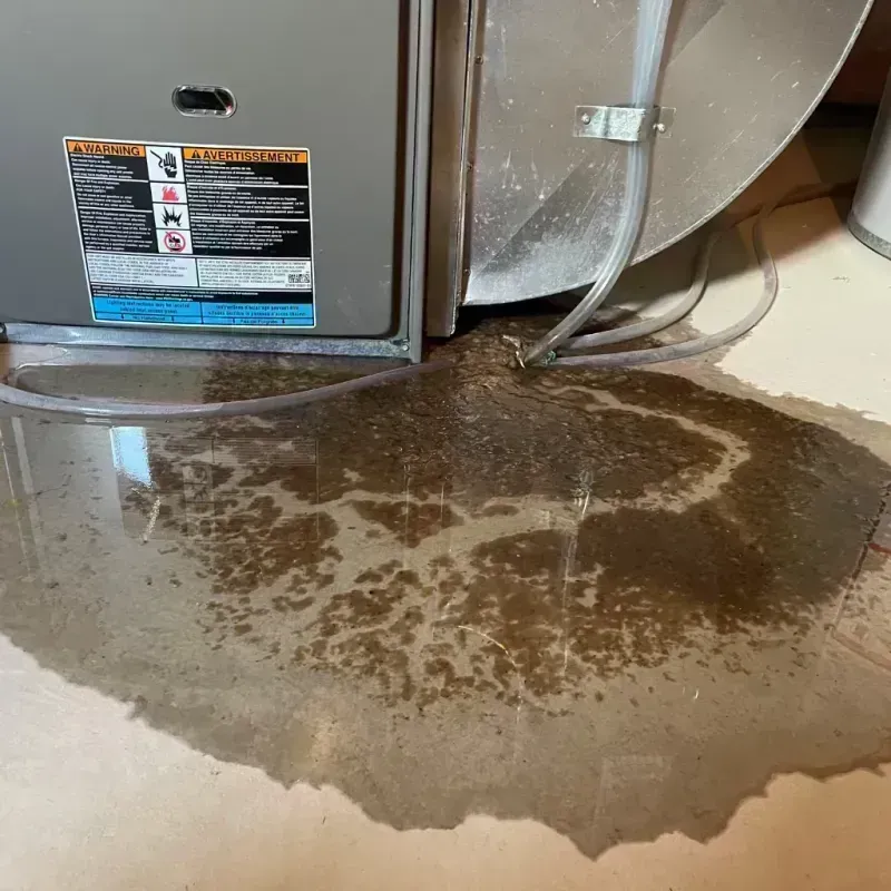 Appliance Leak Cleanup in Clinton County, IL